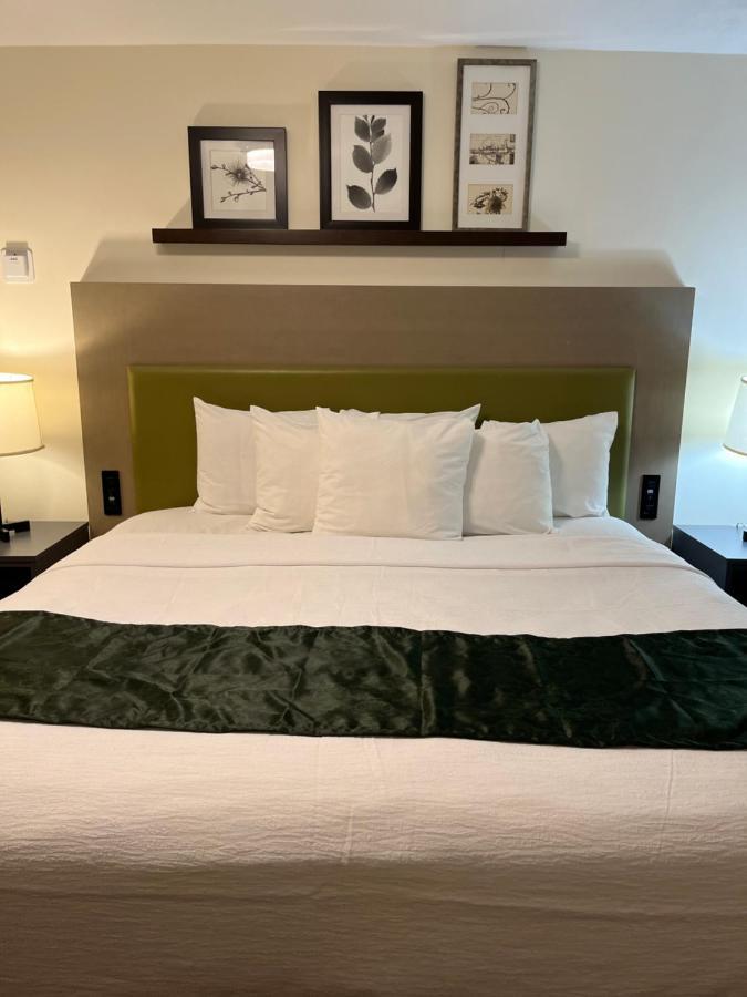 Pictured Rocks Inn And Suites Мунизинг Экстерьер фото